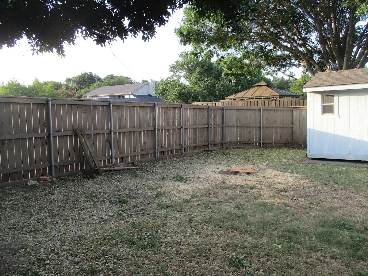 Cleared yard after professional tree removal in Lehi