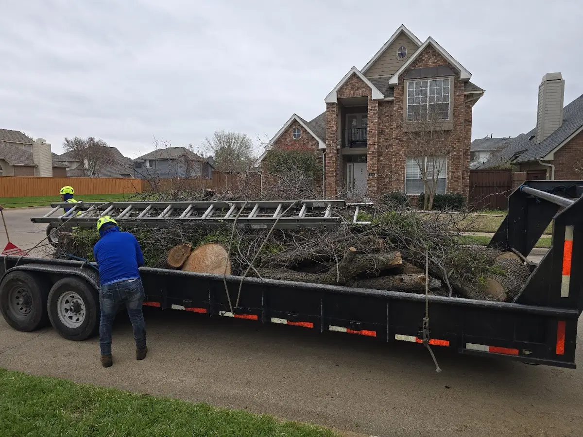 Expert Tree Fertilization with proper safety equipment in Lehi